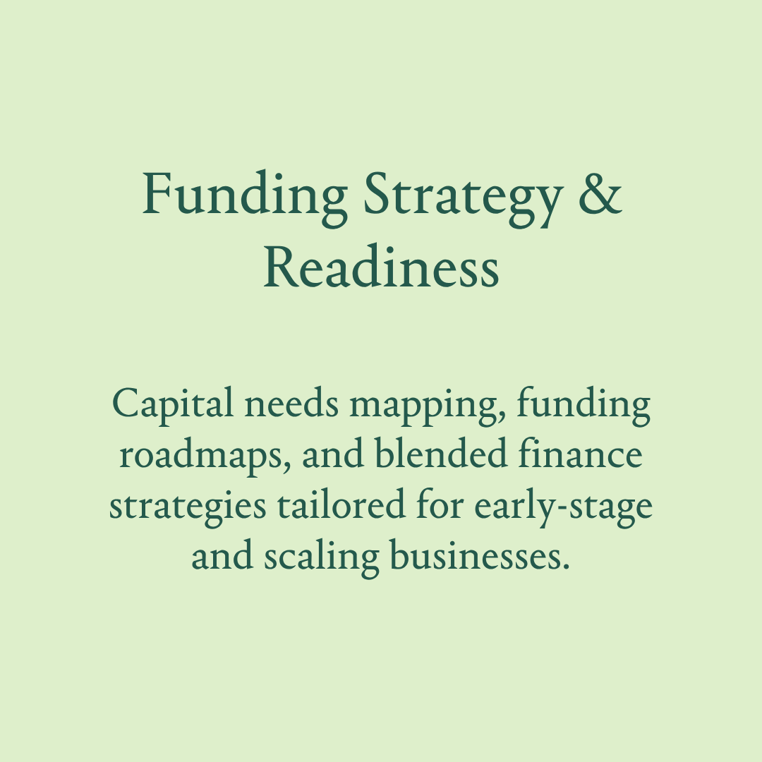Funding Strategy & Readiness: Capital needs mapping, funding roadmaps, and blended finance strategies tailored for early-stage and scaling businesses.
